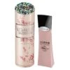 Lomani Blossom - Eau De Parfum For Women 100 Ml 1 Lomani Blossom - Eau De Parfum For Women 100 Ml -1perfumery Sales 400px LomaniBlossom
